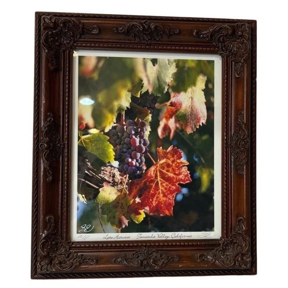 Harvest Time Temecula Valley California Framed Art Print Grapes Vineyard